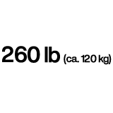 الحد الأقصى للمقاومة